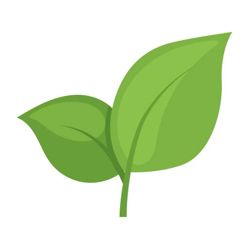 Tropical Leaf